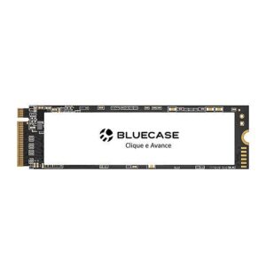 SSD M.2 NVME 2280 256GB BLUECASE HORIZON PN BS2N20/256G